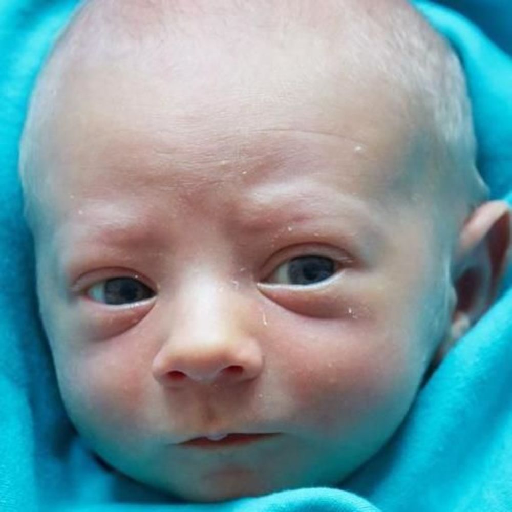 Meet your Posher, Ana